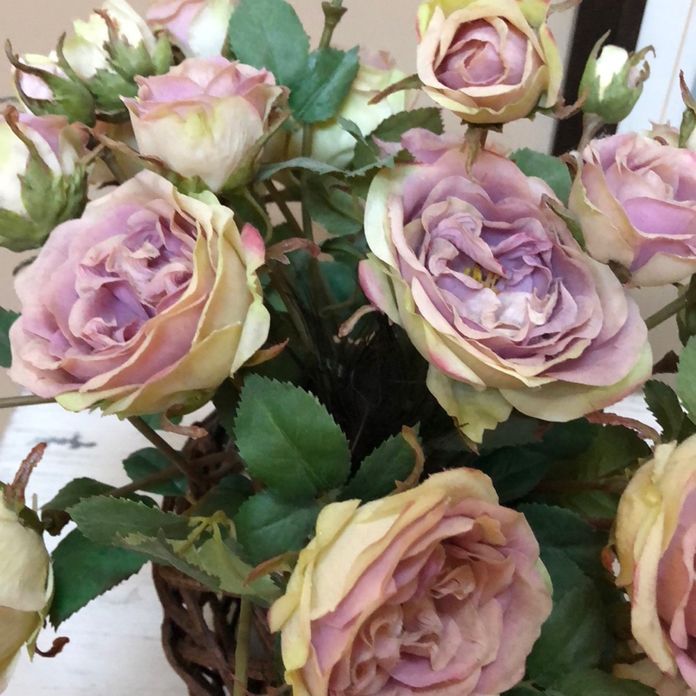 Meet your Posher, Alexandra